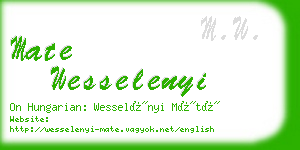 mate wesselenyi business card